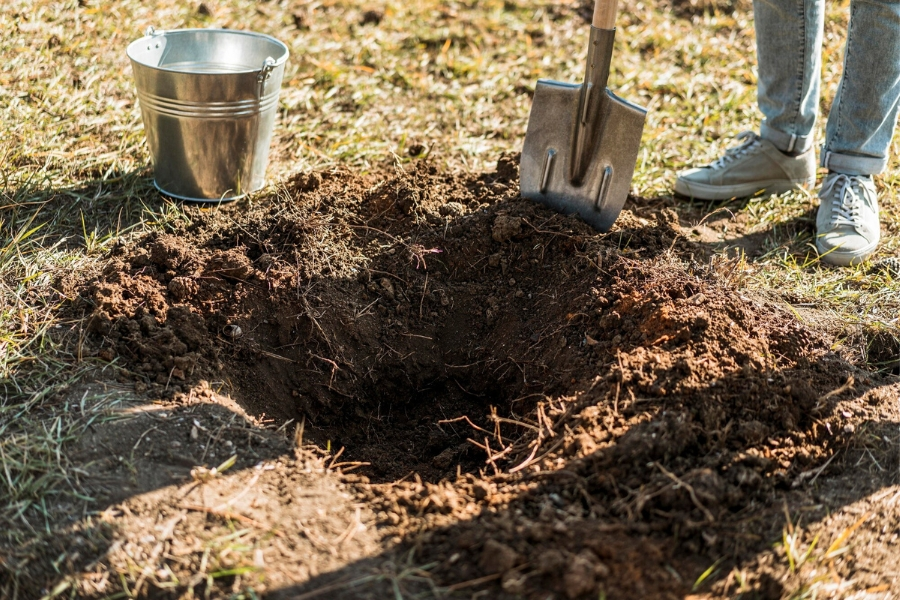 Soil Removal